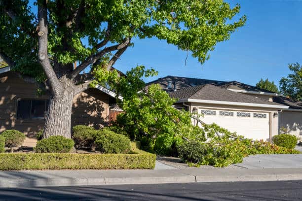 Emergency tree service in Columbia Falls, MT