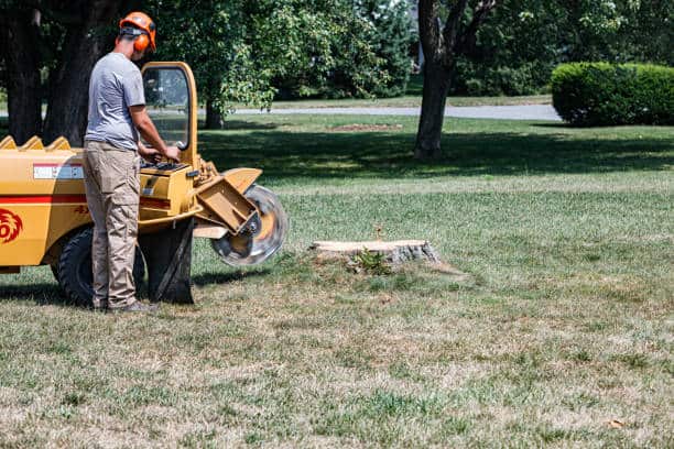 Land clearing service in Columbia Falls, MT